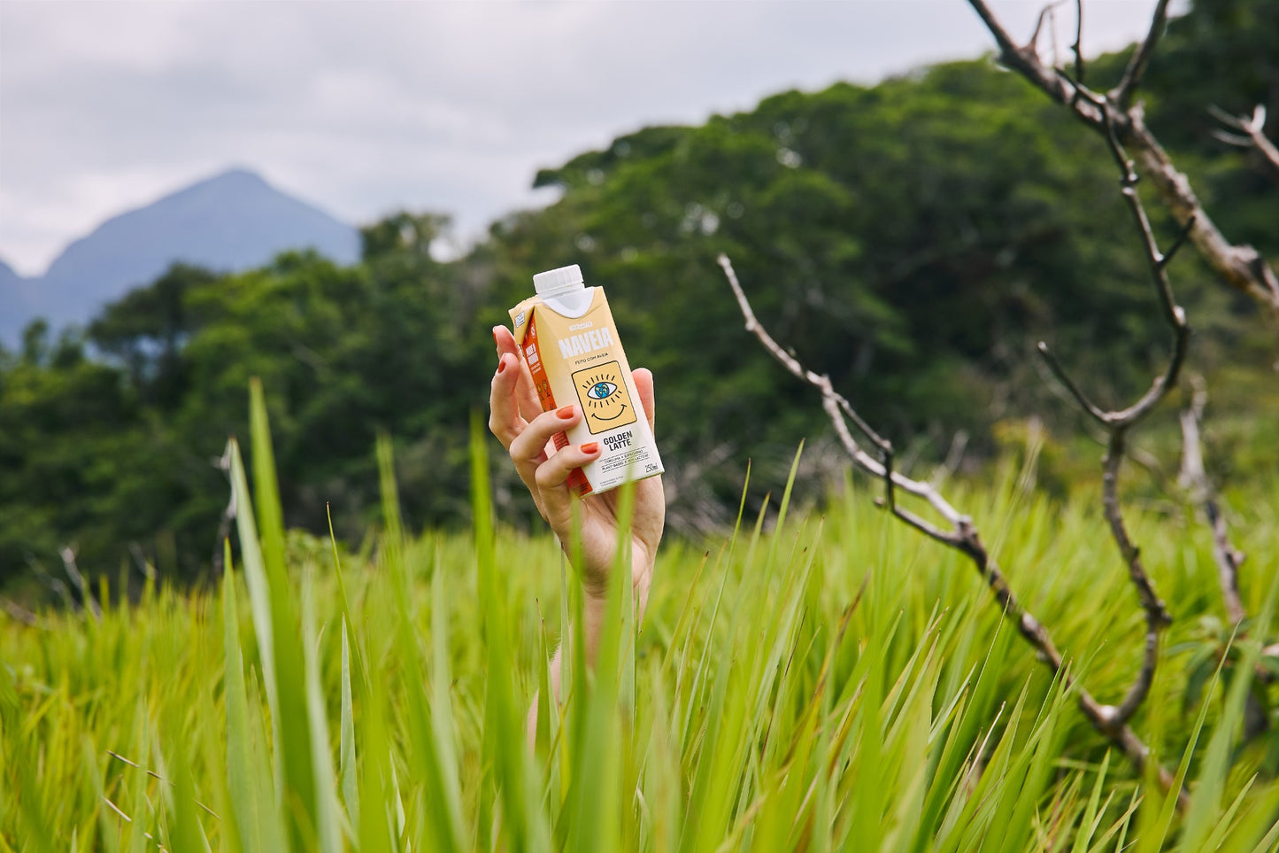 Pack 12x Naveia Golden Latte 250ml