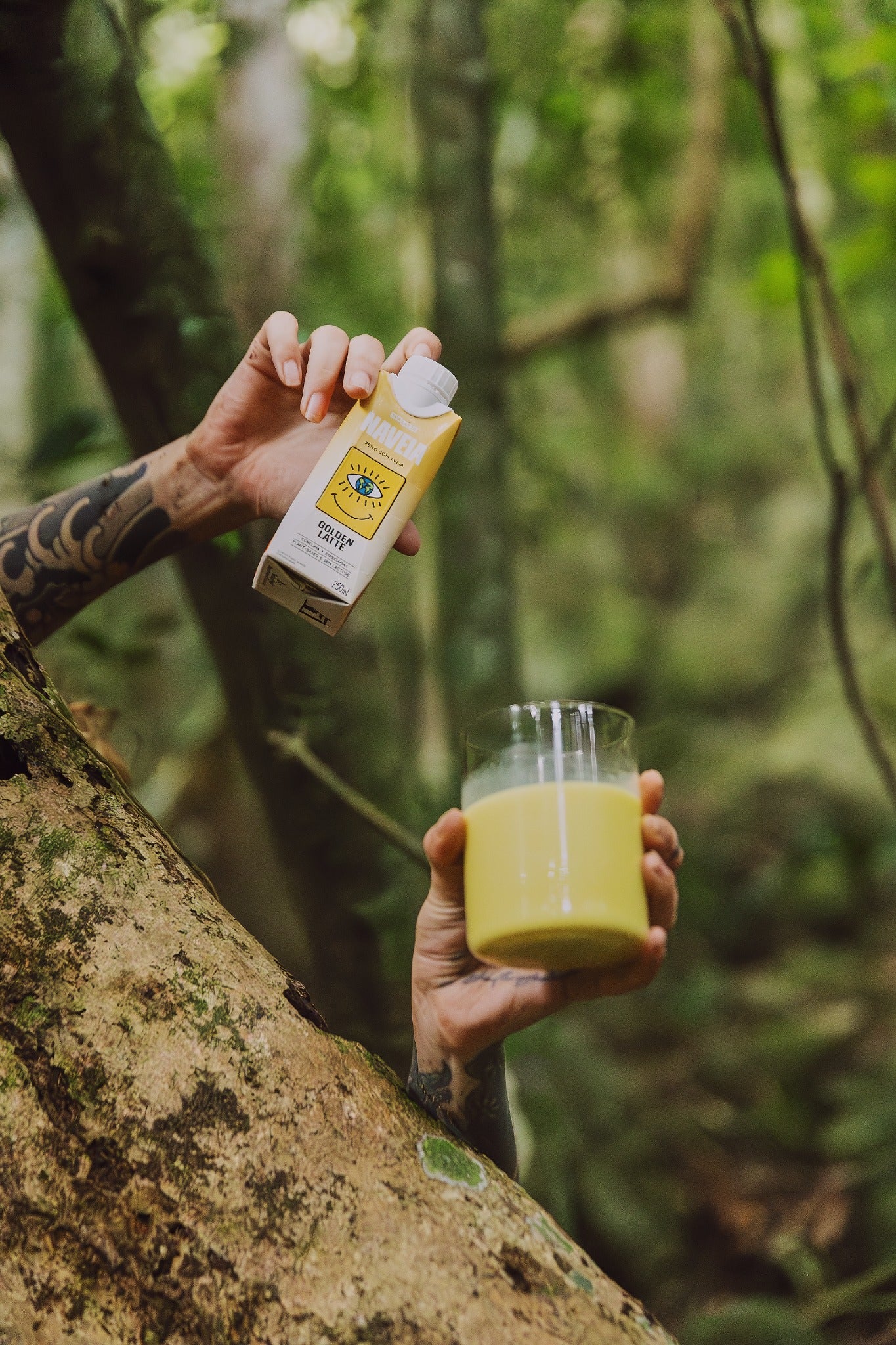 Pack 12x Naveia Golden Latte 250ml